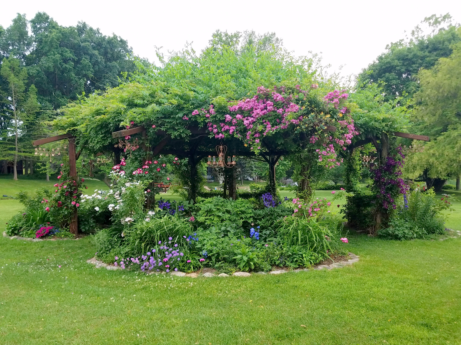 Canopy has Veitchenblau Climbing Rose intertwined with John Clayton Honeysuckle, Clematis and Purple Splash Climbing Rose on posts with beds aflower with Butterfly Blue and Pink Mist Scabiosa, Petunia with Lobelia, Foxglove and end of Sweet William season